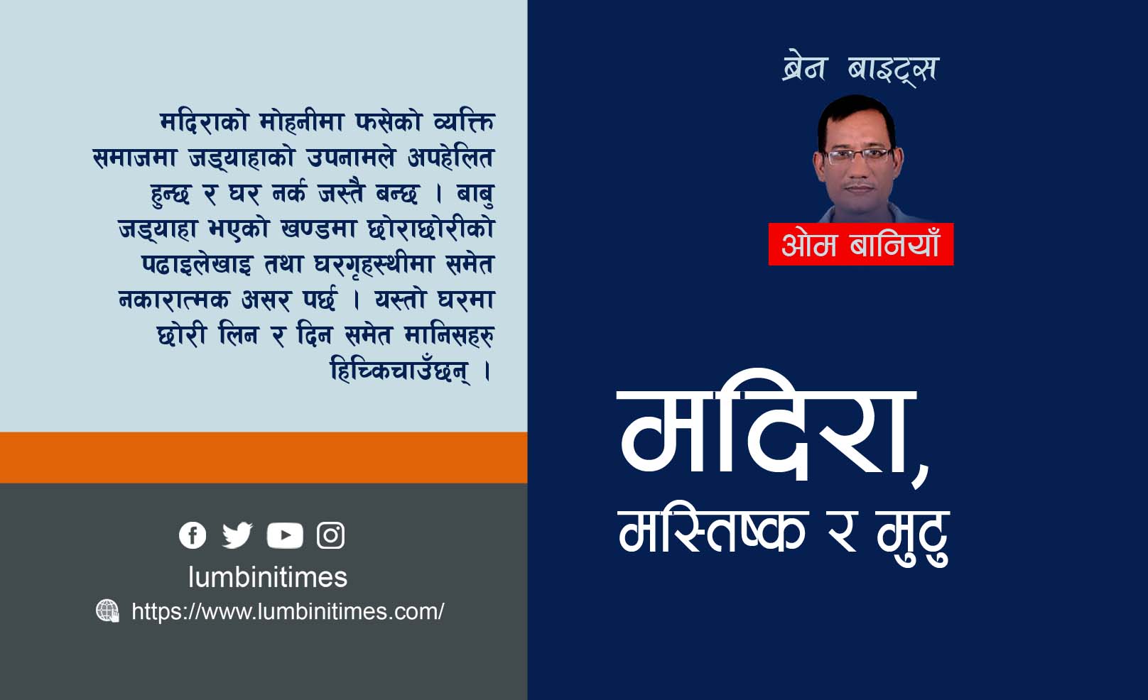 मदिरा, मस्तिष्क र मुुटु